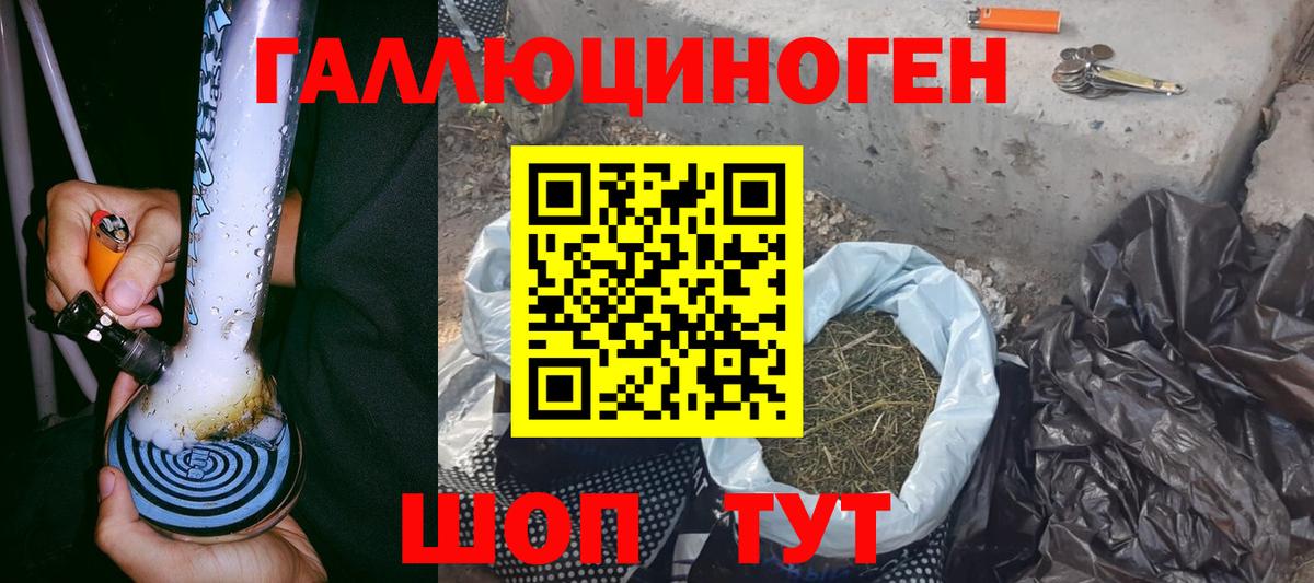 Галлюциногенные грибы Psilocybine cubensis Жигулёвск